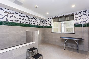 A Pet Wash and Grooming Table at 128 on State, Kirkland, WA, 98033